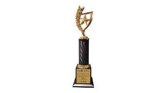 Rotary CSR Award